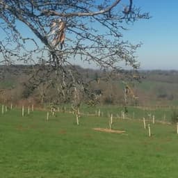 Vincent HULIN Vincent HULIN #2