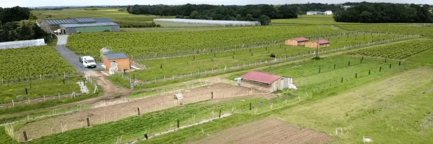 Bannière de La petite ferme Quinenv'OEUFS