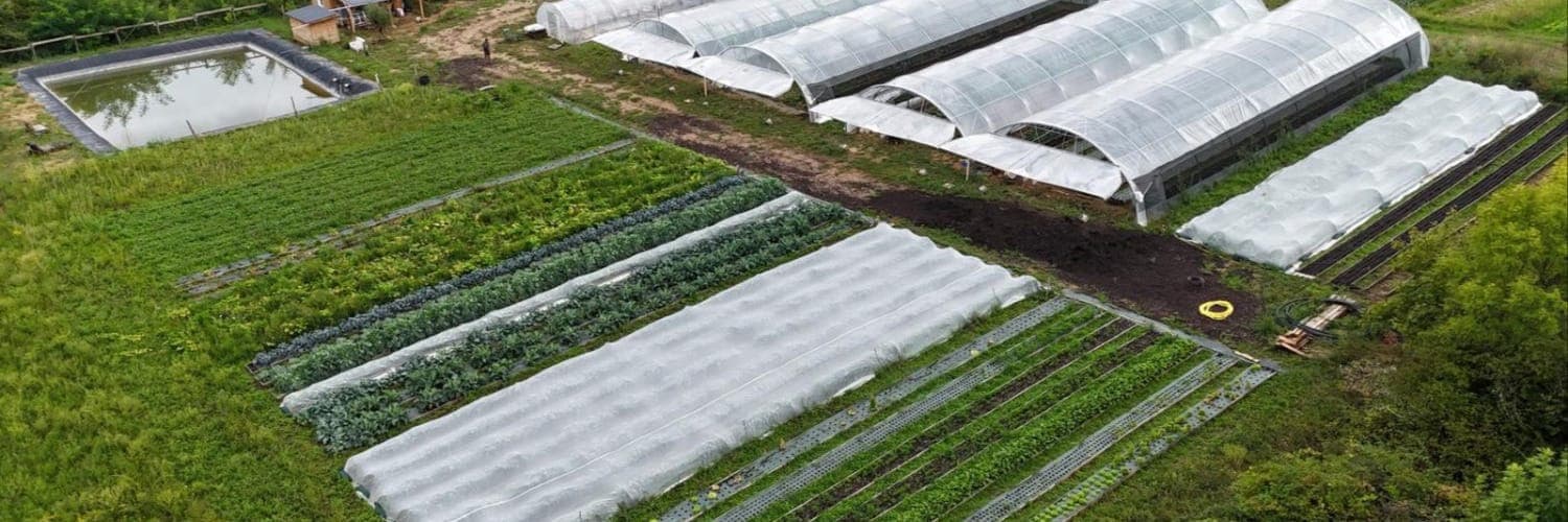 Bannière de La Cybouclette