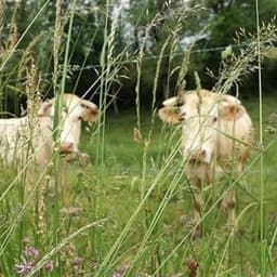 ENTRE TERRE ET CIEL ENTRE TERRE ET CIEL #8