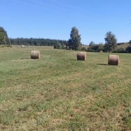 Gaec Hermitage Gaec Hermitage #8