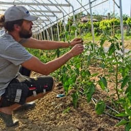 Les jardins de Freya Les jardins de Freya #2