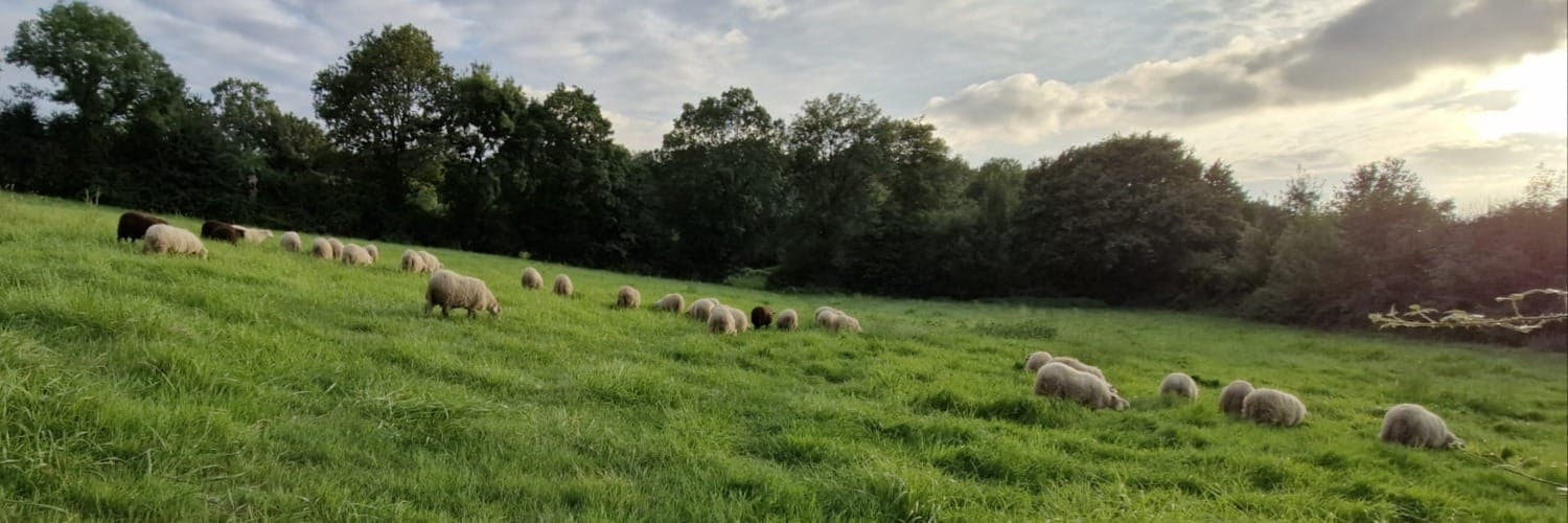 Bannière de Ferme de la coulee verte