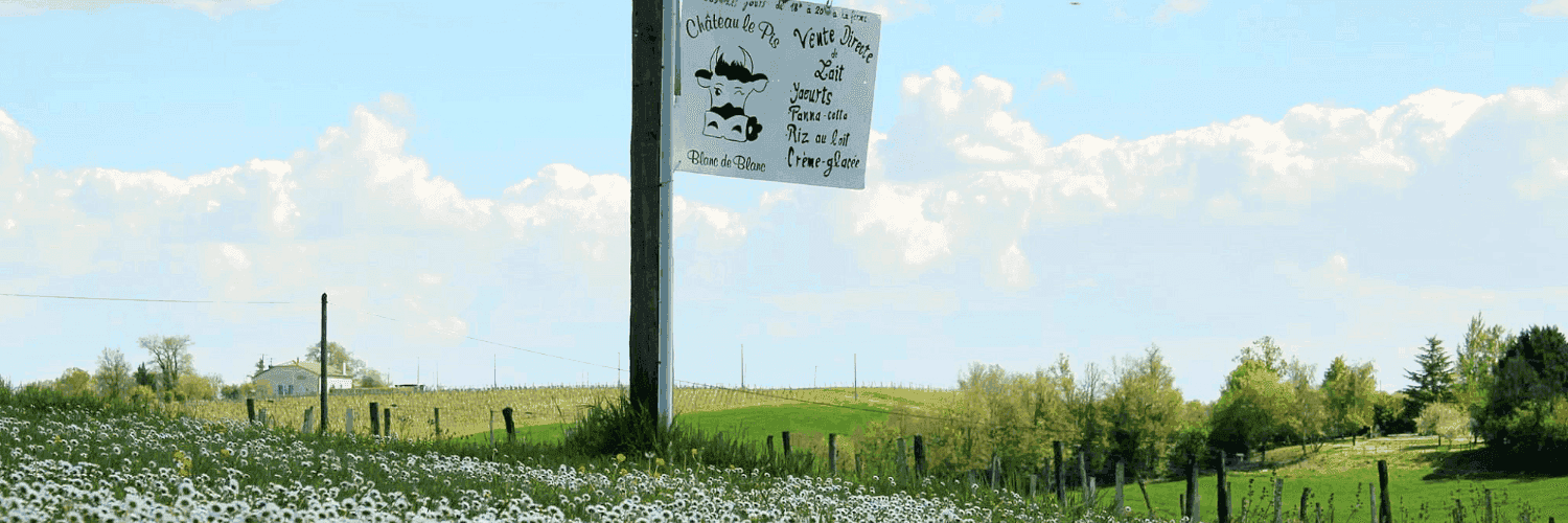 Bannière de Château Le Pis