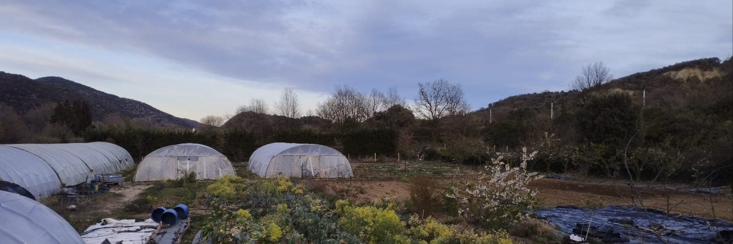 Bannière de La ferme des oliviers