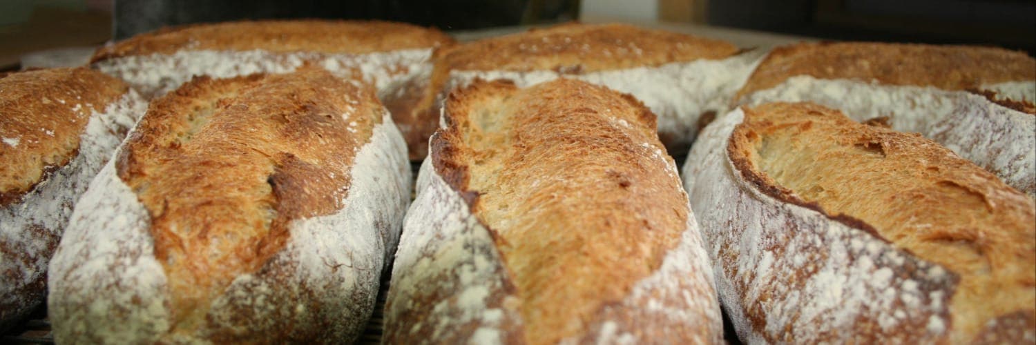 Bannière de Merci Pâton !