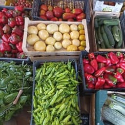 La Grange du Serayol La Grange du Serayol #1