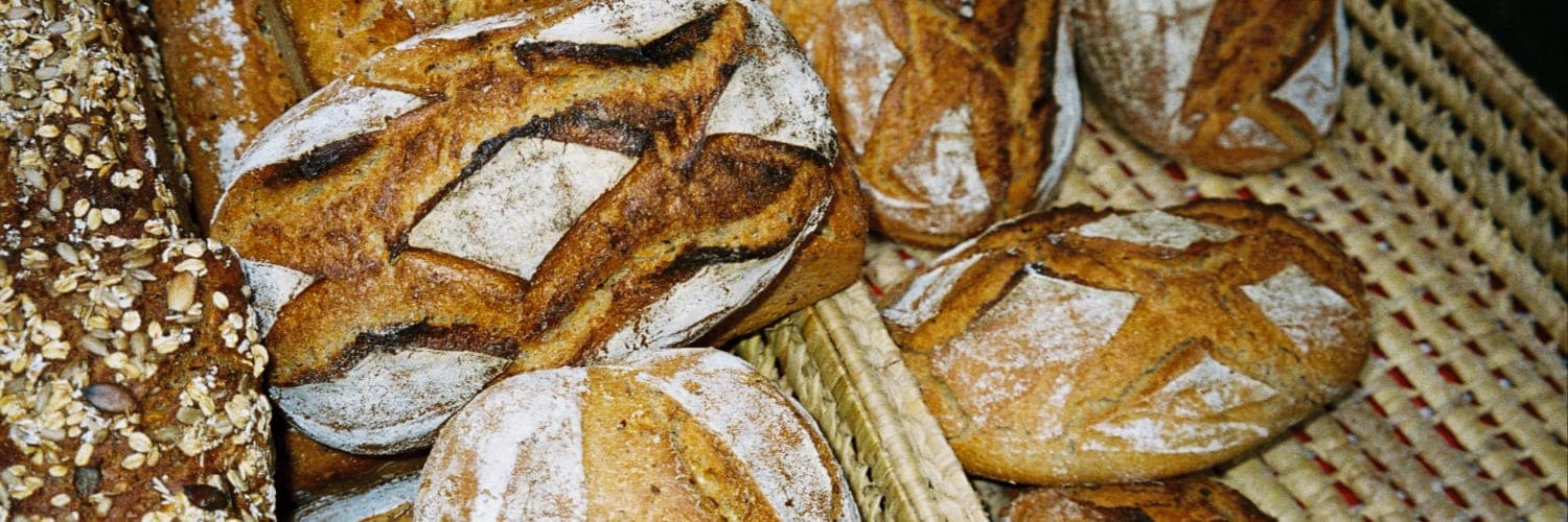 Bannière de Panifixion