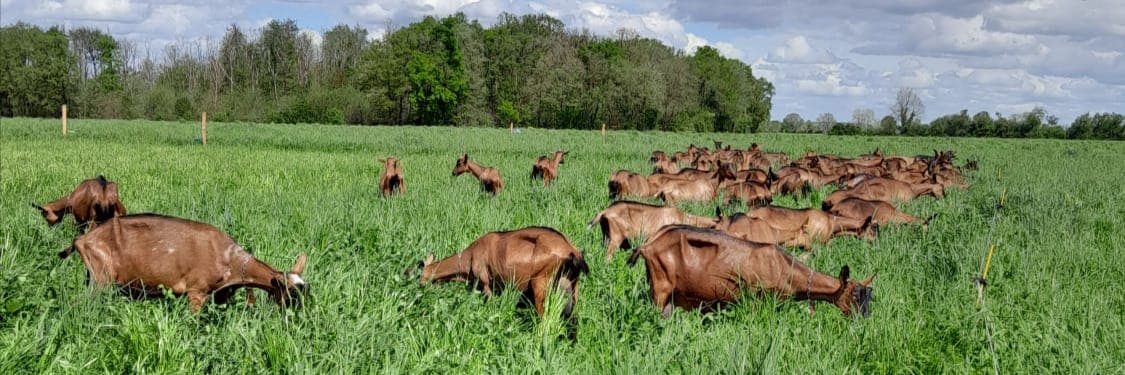 Bannière de EARL Ferme de la Rabinière