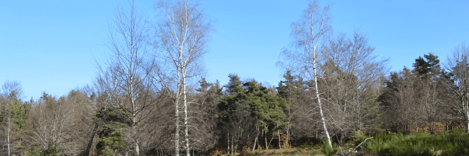 Bannière de La Petite Ferme Bio de Montchabrier - Samuel Valy