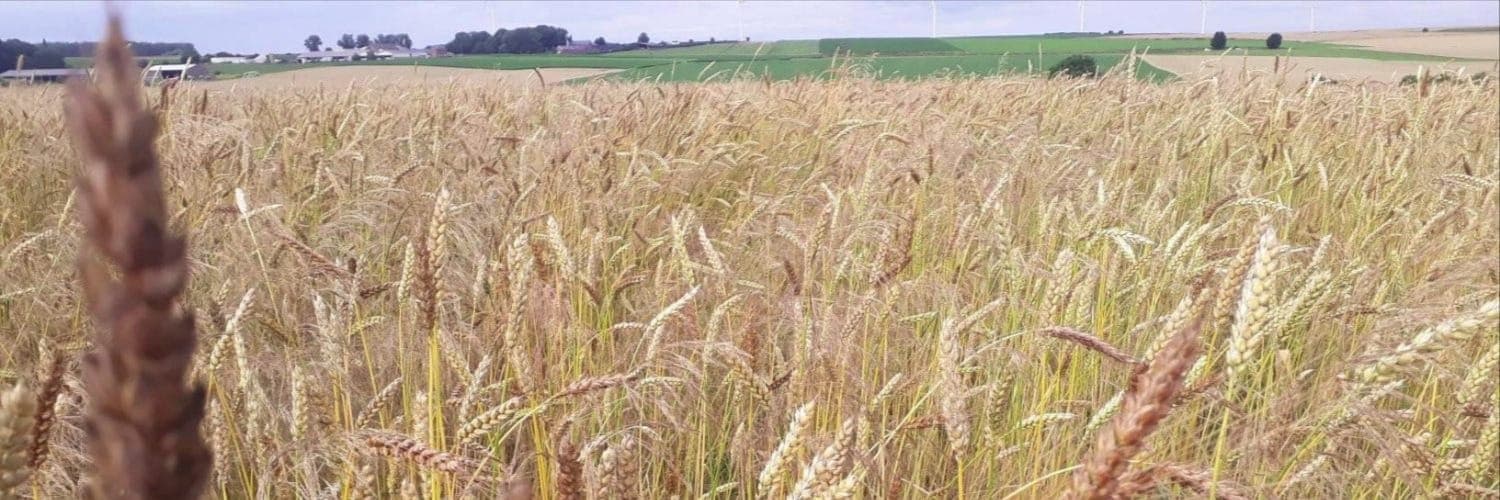 Bannière de FolletPi