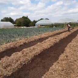 La ferme du cordier La ferme du cordier #5
