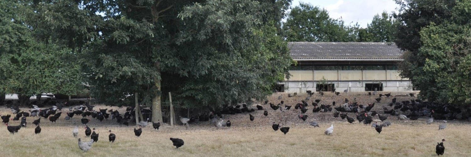 Bannière de Ferme de la Forêt