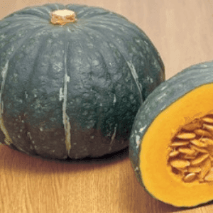 Courge Kabocha Vert