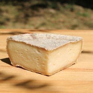 Tome de chèvre affinée