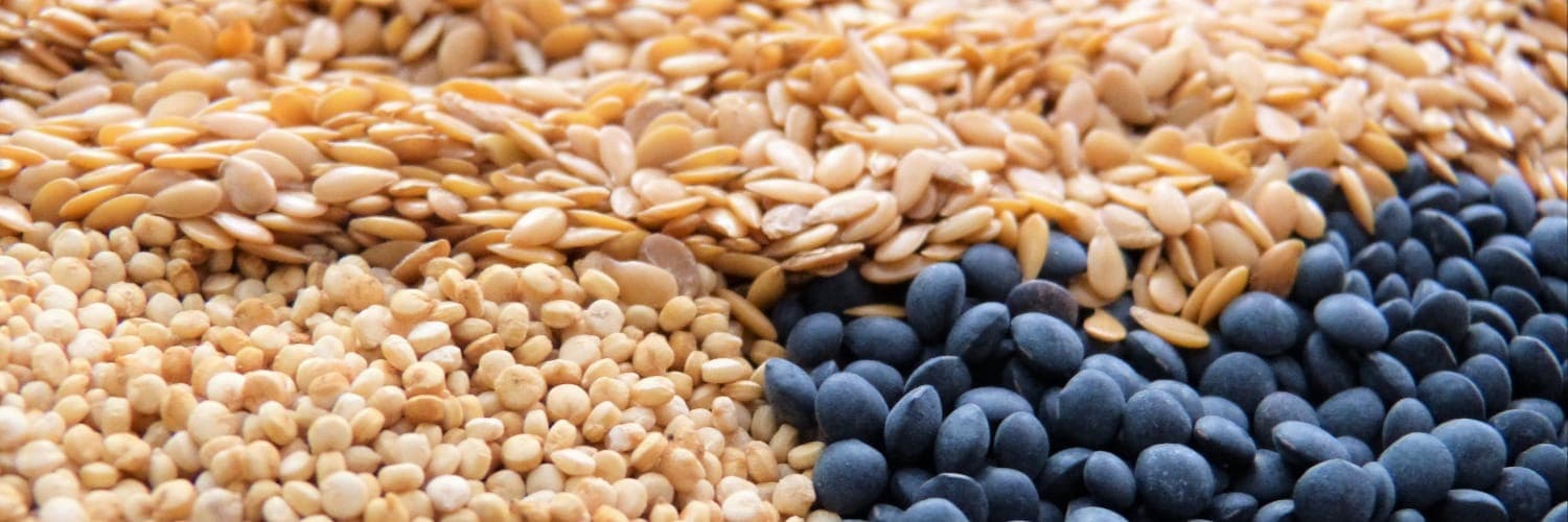 Bannière de Grains de nature