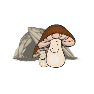 Les champis de l'Antre-deux-Mers