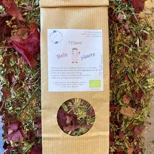 Tisane La belle plante