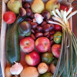 Logo de Livraison Thelottes Périgueux