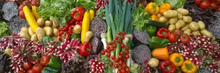 Bannière de Les pieds dans l' champ