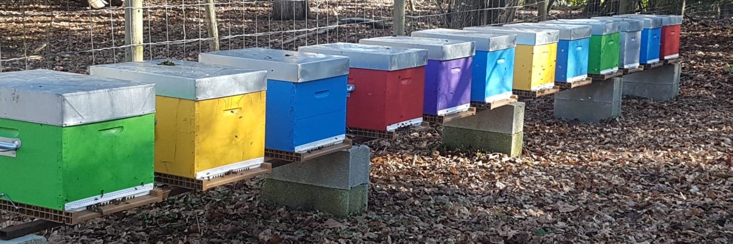 Bannière de Le rucher d'apidaé