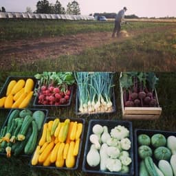 La Grange du Serayol La Grange du Serayol #2