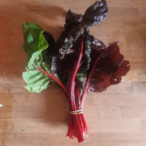 Blette botte (rouge)