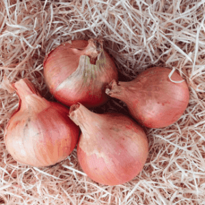 Oignons Jaunes lot de 250gr