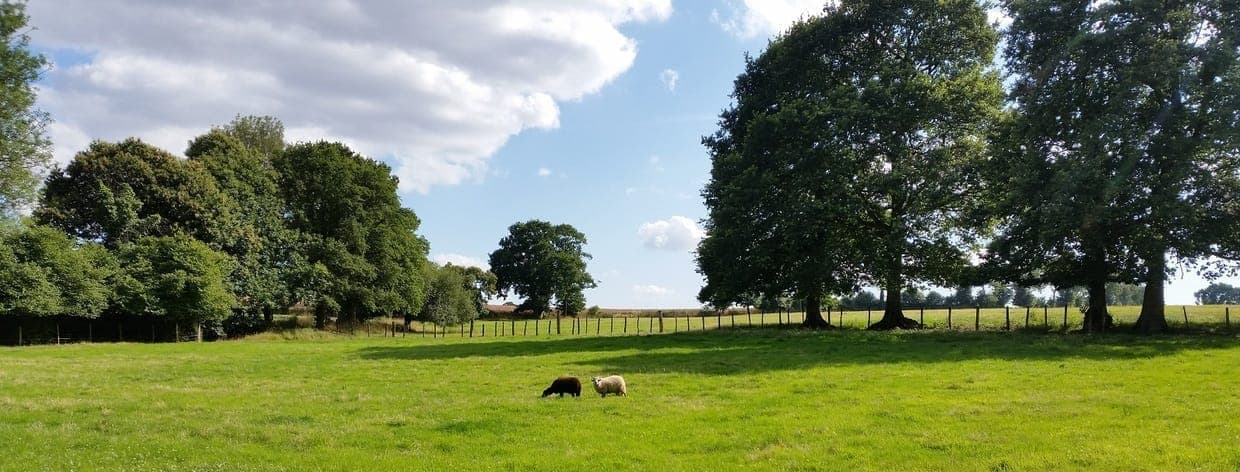 Bannière de Le Pré de la Rivière