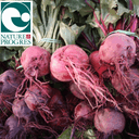 Betterave Botte - Botte