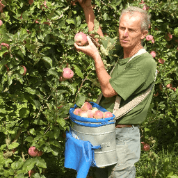 Saveurs Bio de la Vallée Saveurs Bio de la Vallée #5