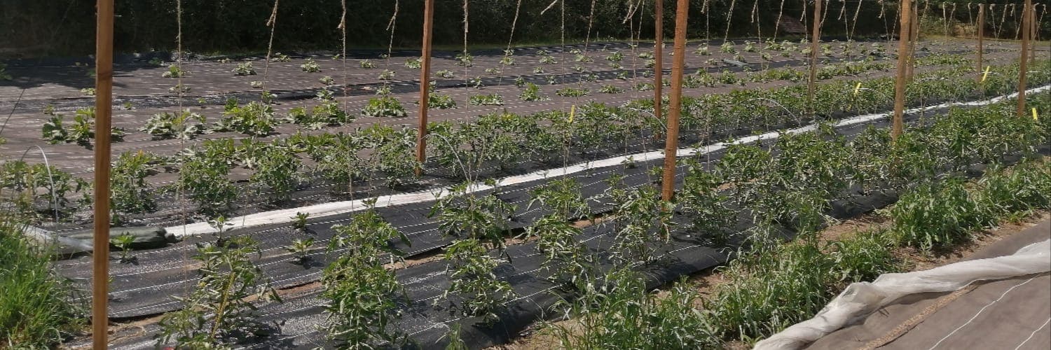 Bannière de Les jardins de Magny