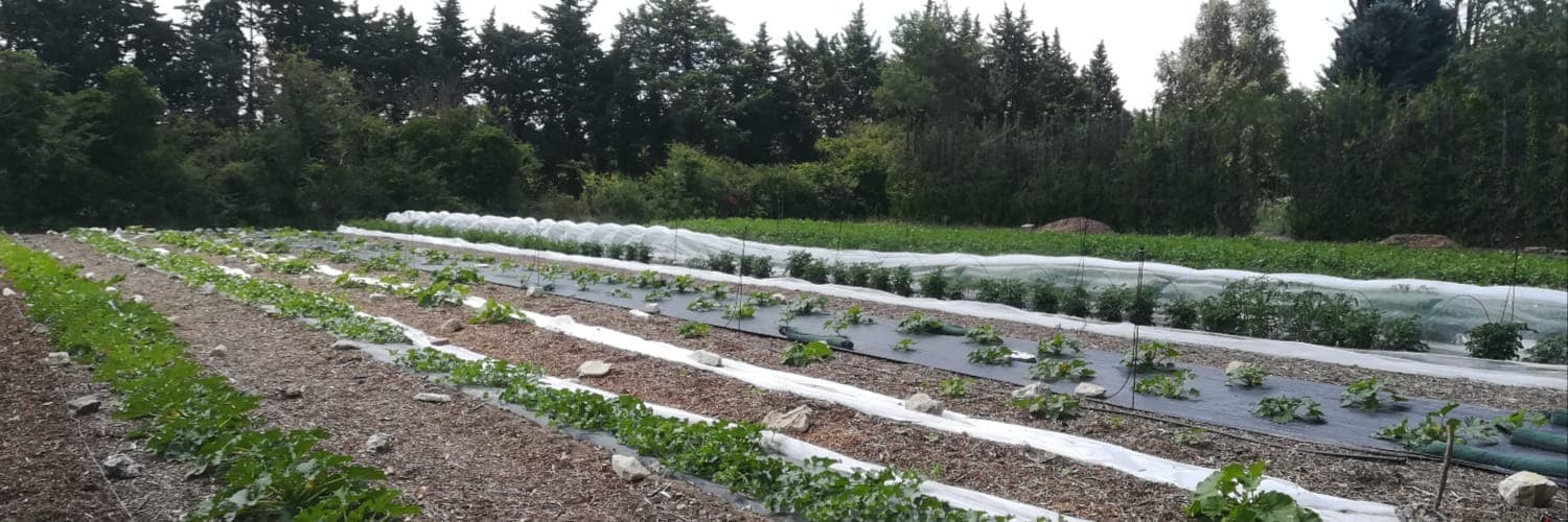 Bannière de La Ferme des ZAbris'co