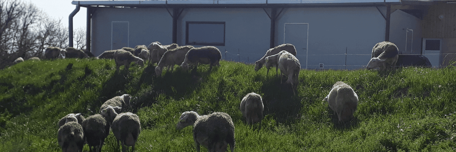 Bannière de L'ECHAPPEE BEEELE
