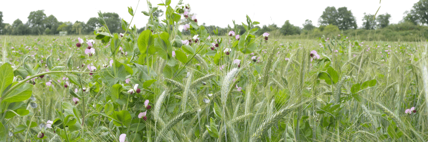 Bannière de La Ferme d'Isabelle et Jean-Marc
