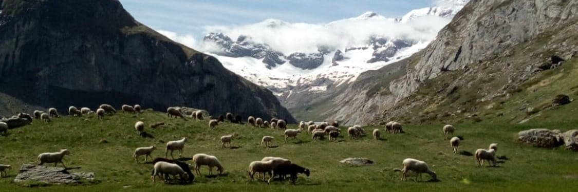 Bannière de Ferme des Petits Prés