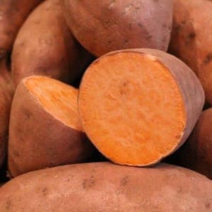 Patate douce (1u = ~500g)