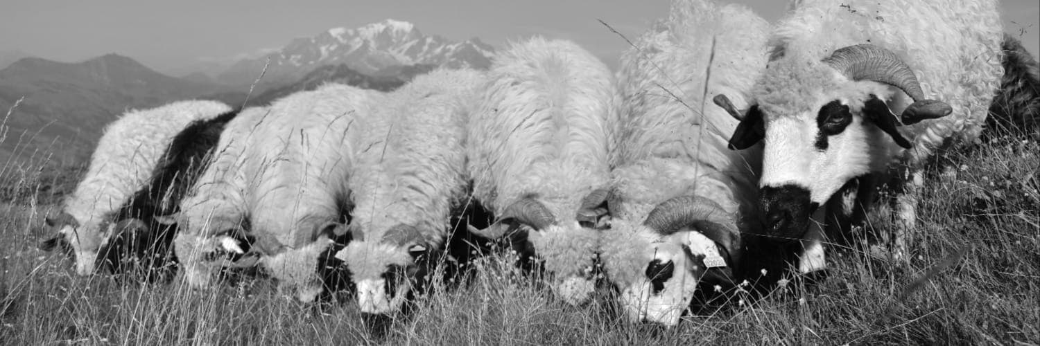 Bannière de GAEC De La Fontaine