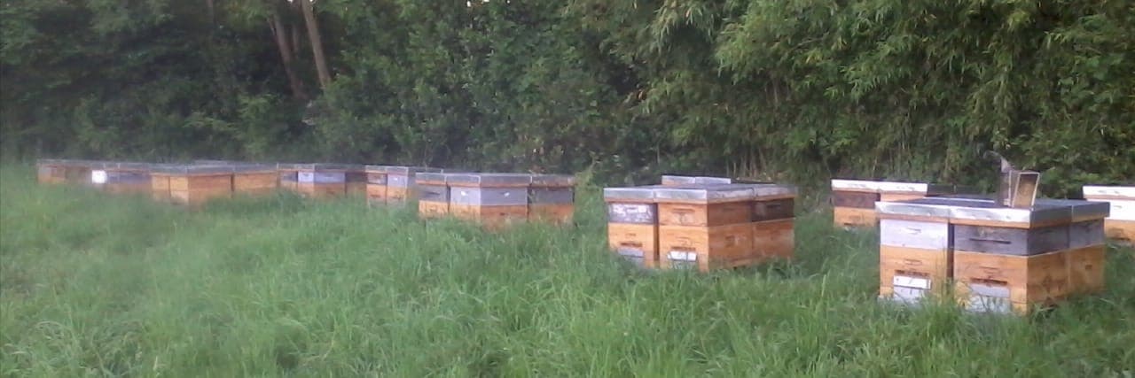 Bannière de La Miellerie du Soubestre