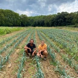 Les Jardins du Lunaret Les Jardins du Lunaret #2