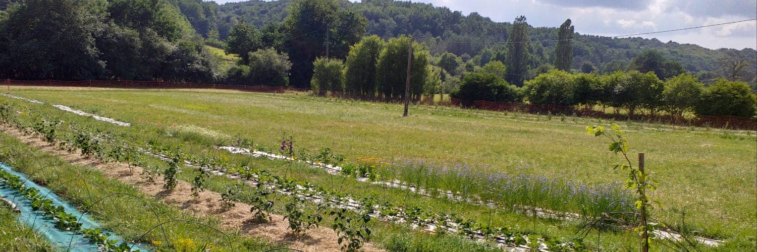 Bannière de La Prairie Aromatique