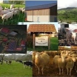 FERME DE BRAQUEMONT FERME DE BRAQUEMONT #6