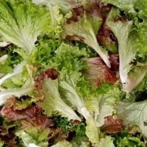Salade mélangée