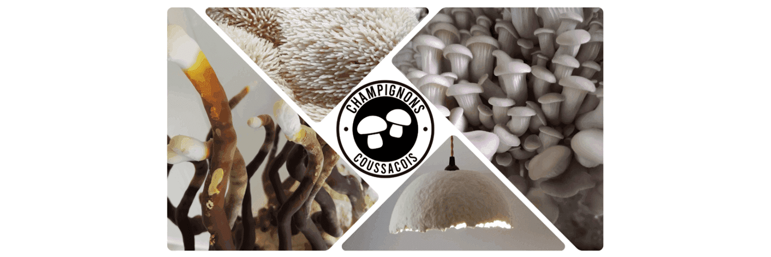Bannière de Champignons Coussacois
