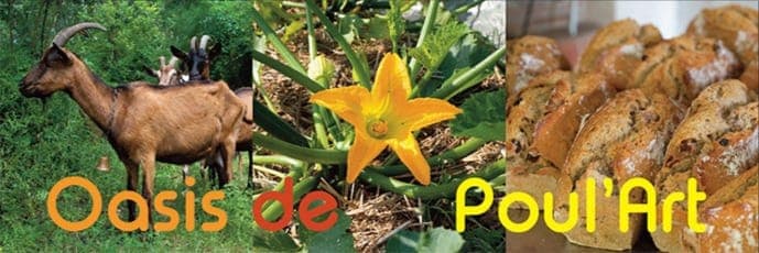 Bannière de Scic Oasis de Poul'Art