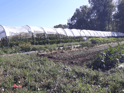 La Grange du Serayol La Grange du Serayol #4