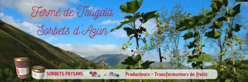Bannière de Sorbets D'Azun