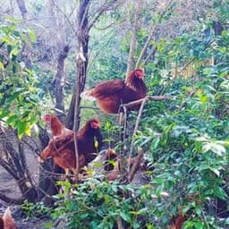 Solo Bio Solo Bio #8