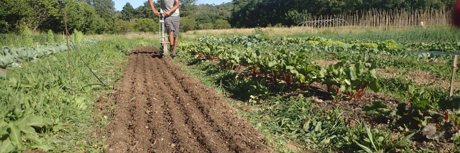 Bannière de Le champ des copains