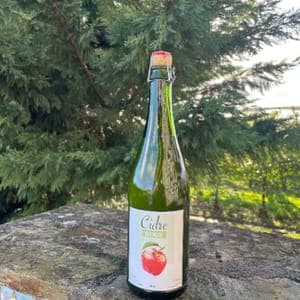 CIDRE BRUT 0.75CL